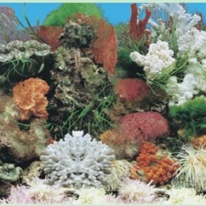 waterproof plastic aquarium background picture J01-0