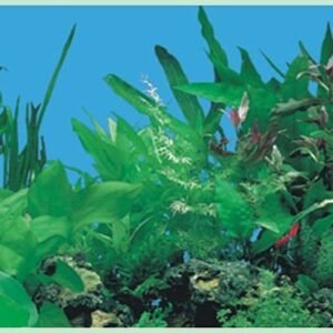 waterproof plastic aquarium background picture J03-0