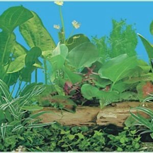 waterproof plastic aquarium background picture J11-0
