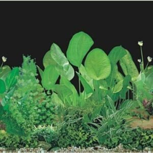 waterproof plastic aquarium background picture J12-0
