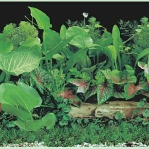 waterproof plastic aquarium background picture J14-0