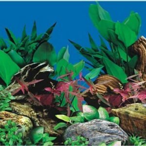waterproof plastic aquarium background picture poster J67-0