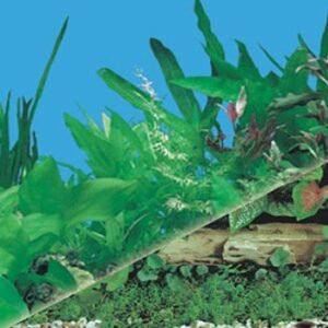 waterproof plastic doublesizes aquarium background picture J03/J13-0